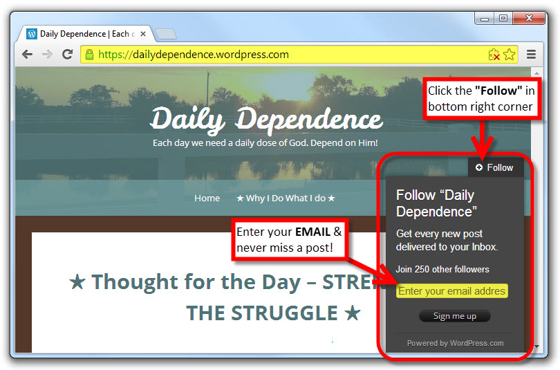 To Follow Daily Dependence Blog